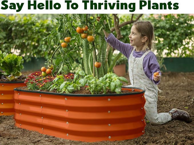 Plant & Plot Galvanized Raised Garden Beds Outdoor // 4×2×1 ft (2-Pack) Planter Raised Beds for Gardening, Vegetables, Flowers (Orange) // Large Metal Garden Box