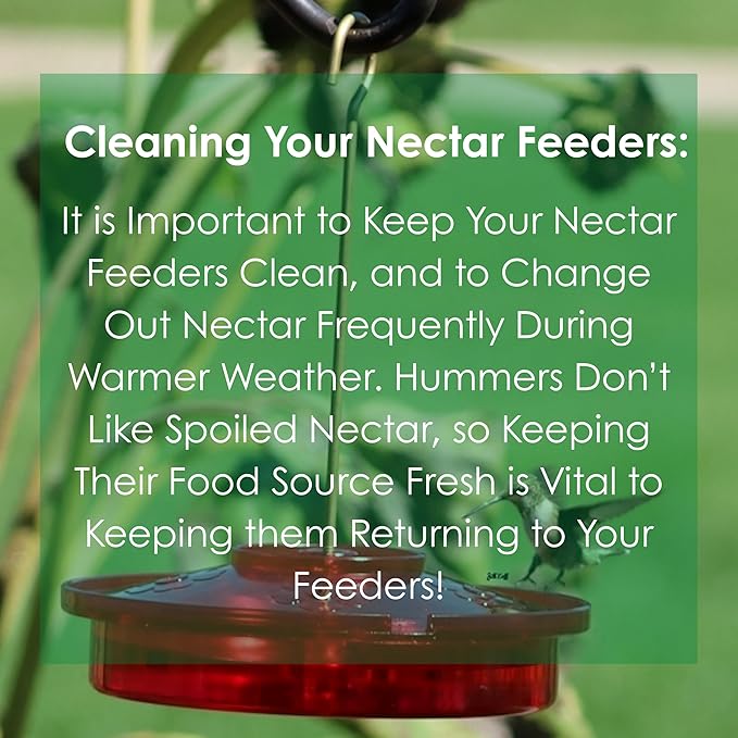 Songbird Essentials Clear Nectar Mix - 8 Ounce Dry Concentrate Makes 48 Ounces - No Boil, All Natural, No Dyes or Sweeteners - Made in USA - Attracts Orioles & Hummingbirds [Pack of 3]