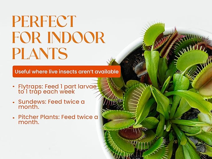 Venus Fly Trap Live Plant Food Bundle – Carnivorous Plant Food with Feeding Tweezers – 2 Resealable 0.35oz Bags of Black Soldier Fly Larvae – Nutrition for Venus Flytraps, Pitcher Plants, and Sundews