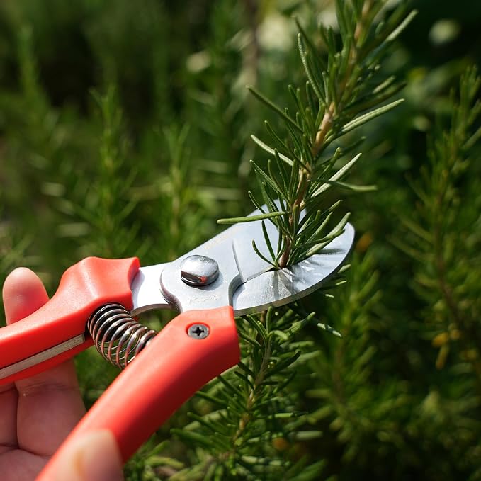 AGRICUT 7" Pruning Shears Heavy Duty Professional, Made of Japanese SK5 Steel Blades, 4/5 Cut Capacity, Bypass Hand Pruners Garden Clippers for Tree Flower Branch Trimming, S20E
