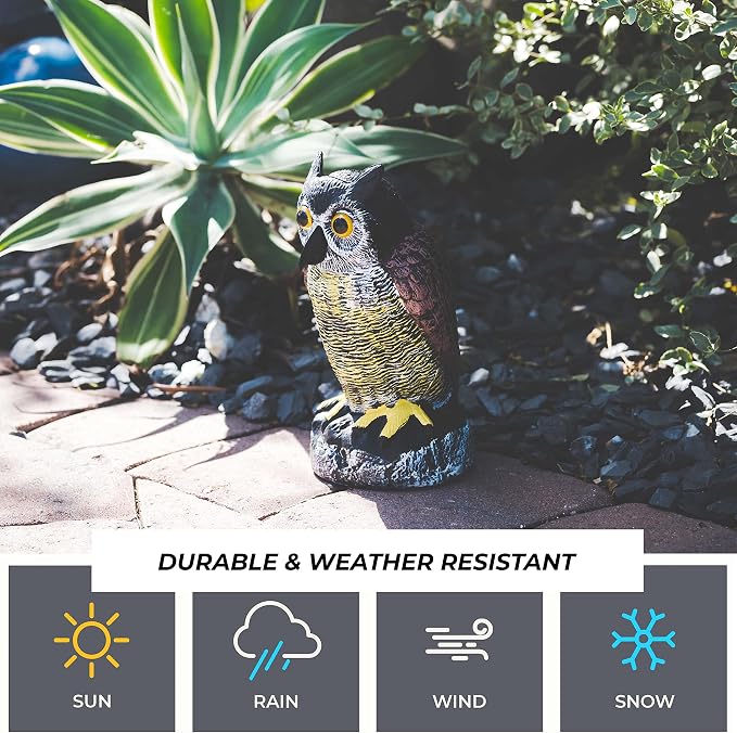 Owl Decoy to Scare Birds Away | Plastic Owls to Scare Birds Away | Owl Statue for Garden & Outdoors By Galashield [Set of 2]