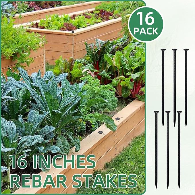 16 Inch Ground Spikes, Rebar Stakes, 1/2 Ground Stake, Galvanized Anchors, Metal Stakes for Ground (16Pcs, Black)