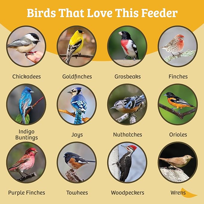 Birds Choice Suet Feeder with Tail Prop, Holds 1 Suet Cake | Hanging Suet Bird Feeder with Roof, Woodpeckers, Jays, Nuthatches | Sturdy for Garden & Backyard | Taupe & Brown, 8"L x 3"W x 12"H