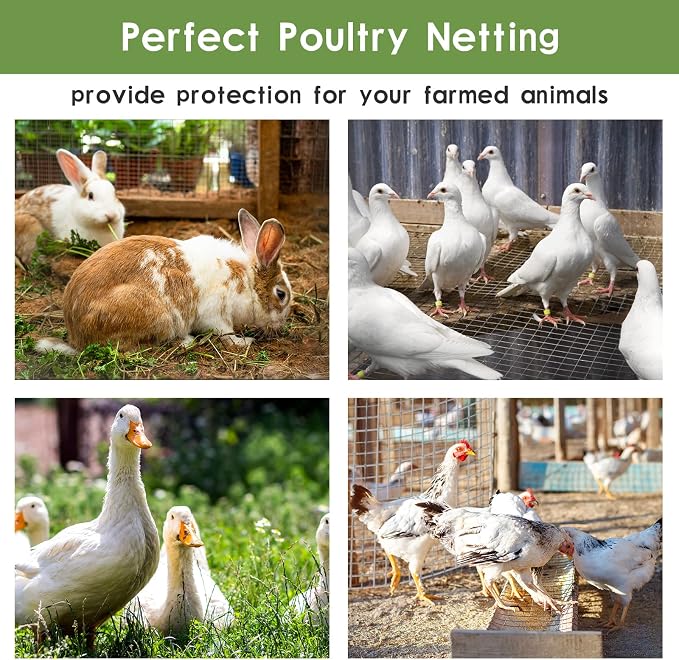 Tongmo 24" x 100' Hardware Cloth, 1inch Mesh Galvanized Chicken Wire Fence, 19 Gauge Welded Wire Roll,Garden Fence, Poultry Netting for Rabbit/Duck/Chicken Coop