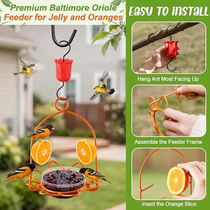 2 Pack Oriole Feeder for Outdoors, Metal Oriole Bird Feeder with Jelly Cup & Orange Pegs, Includes Ant Moat & Cleaning Brush, Hanging Bird Feeders for Backyard & Garden