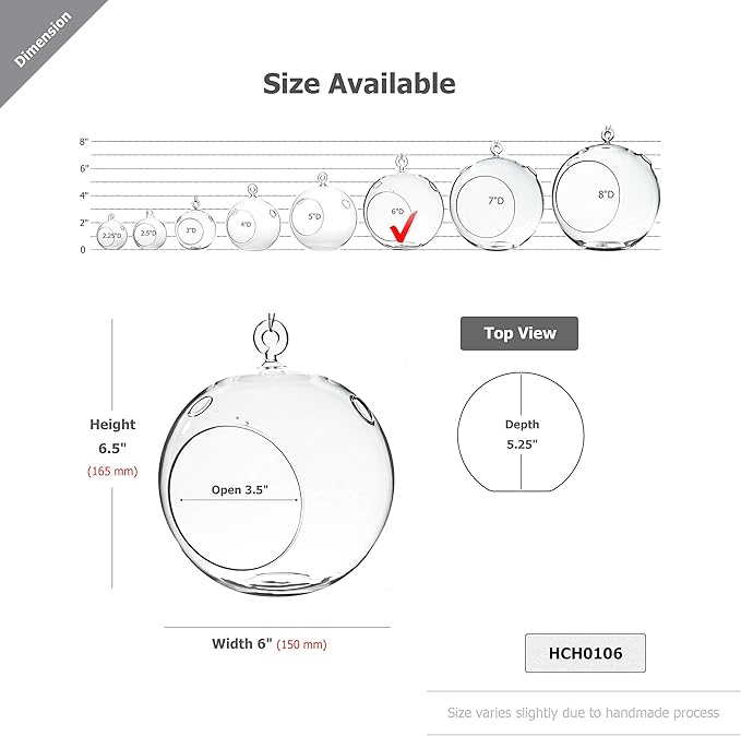 WGV Hanging Terrarium Globe, Width 6", Height 6.5", DIY Air Succulent Planter, Clear Glass Vase Orb with Flat Bottom, Candle Holder for Windowsill Outdoor Garden Decor, 1 Piece