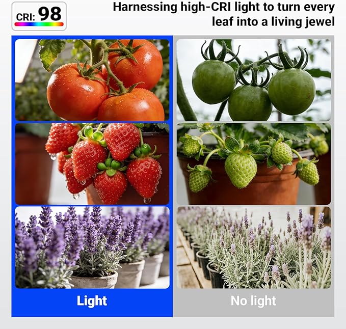 Barrina Orbgrow OG11A Grow Light Bulbs for Indoor Plants, Integrated Dimming & Timing, 5000K 44W(4 x 11W, 400 Watt Equiv), E26 Plant Light Bulb, Full Spectrum for Seeds and Greens, 4 Packs, White