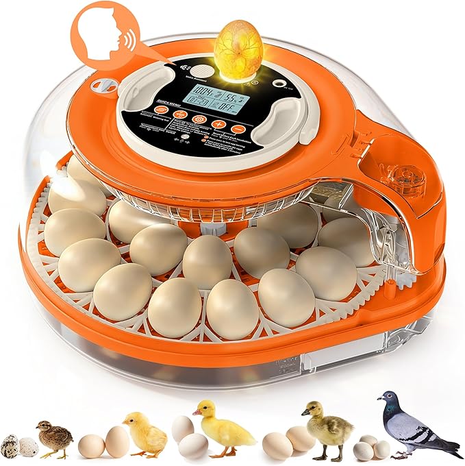 26 Incubators for Hatching Eggs Smart Voice Control Incubator with Auto Temp Humidity Automatic Egg Turning 360° View Built in Egg Candler and Chick Holding Area for Chicken Duck Goose Quail Eggs