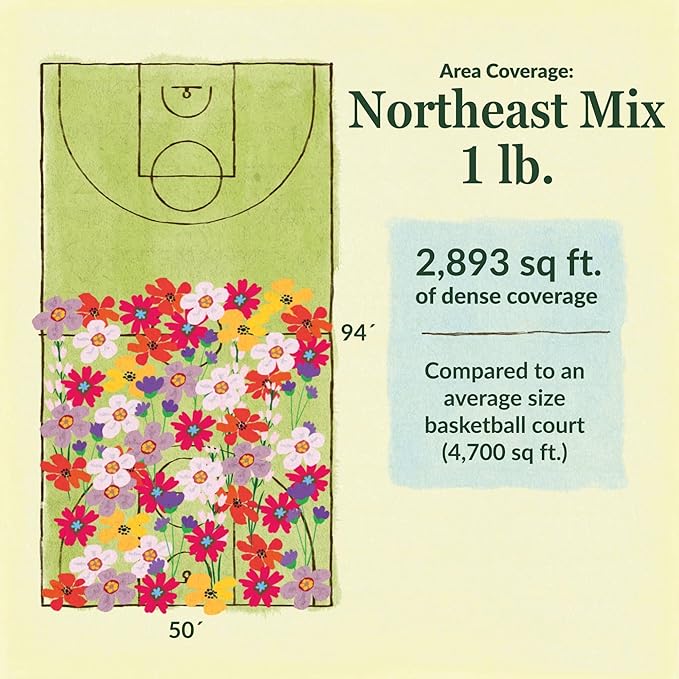 Ferry-Morse Wildflower Seeds - Northeast Mix, Non-GMO, Full Sun - 1 lb