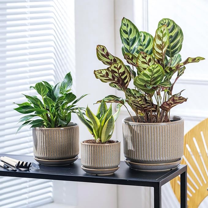 SURE YUESI Ceramic Plant Pots Set of 3, Indoor Outdoor Planters with Drainage Hole and Saucer, Ceramic Flower Pots for Indoor Plants, 4.3+5.5+6.8 Inch, Home, Garden, Patio and Office, Matte Grey
