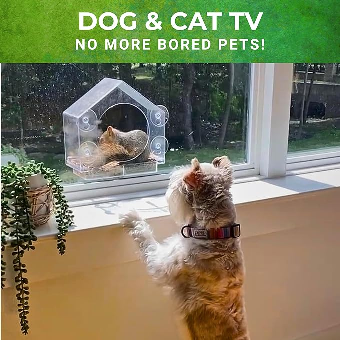 Window Squirrel Feeder - Funny Chipmunk Feeder - Easy to Install, No Assembly Needed - Includes Evergrip 4X Suction Cups - Squirrel Feeders for Outside - Squirrel House