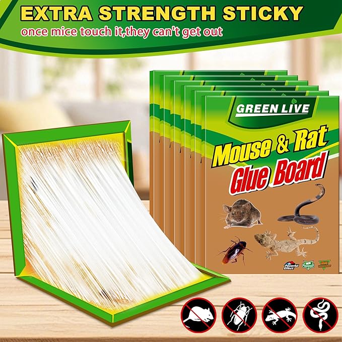 6 Pack Sticky Mouse Traps, Sticky Traps for Rats Mice Rodents Snakes No Touch Indoor Mouse Traps for Home Kitchen Garage Attic Basements, Easy to Set, Green