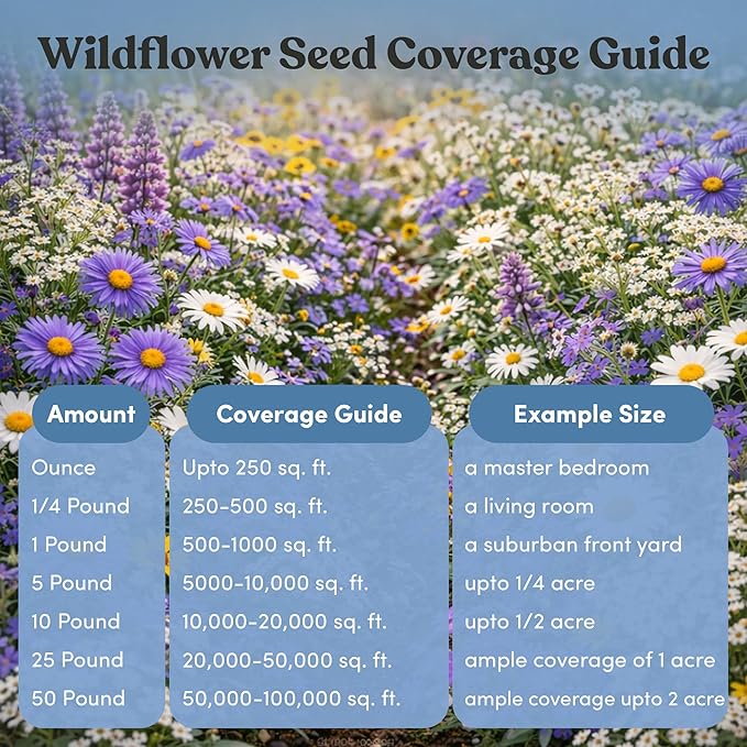 Regional Wildflower - Northeast USA Wildflowers - 100% Pure Seed - Organic, Non-GMO - 21 Wildflower Variety Seeds of Annual & Perennial, 1 LB Tub