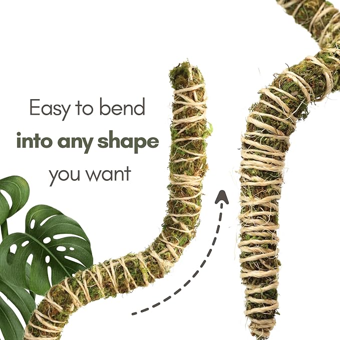 Mossify Bendable Moss Pole 3 Pack 30'', Monstera Plant Support - Natural Forest Moss Poles for Climbing Plants - Flexible & Thin Plant Sticks for Monstera Support - Indoor & Outdoor Plants Mosses Pole