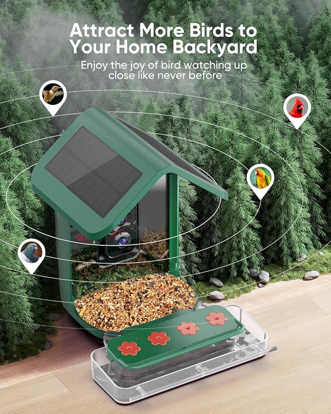 Bird Feeder with Camera Solar Powered: Smart Hummingbird Feeder for Backyard Tree - 2K Live AI Identify Auto Capture Bird Video - WiFi Bird Watching Feeders Gift for Mom Dad