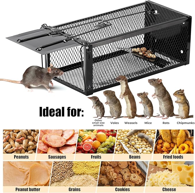 2 Pack Humane Rat Traps 12.5"x5.5"x4.5", Reusable Mouse Traps for Indoor/Outdoor Use, No-Kill Live Capture for Chipmunks, Squirrels, Rats, Mice