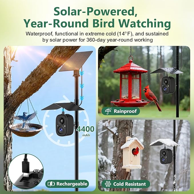Smart Bird Feeder Camera Solar Powered with Pole, 2.5K HD Birdwatching Live Video Auto Capture, AI Identification & Instant Notification, Wireless Bird House/Bath Cam Outdoor, Gift for Bird Lovers