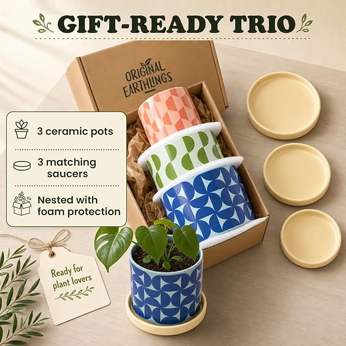 Original Earthlings Ceramic Plant Pots - Flower Pots with Drainage Hole & Saucer, Handmade Flower Vase, Colorful Decorative Planters for Indoor Plants, Succulent, Home Decor - Set of 3 (5", 4", 3.5")