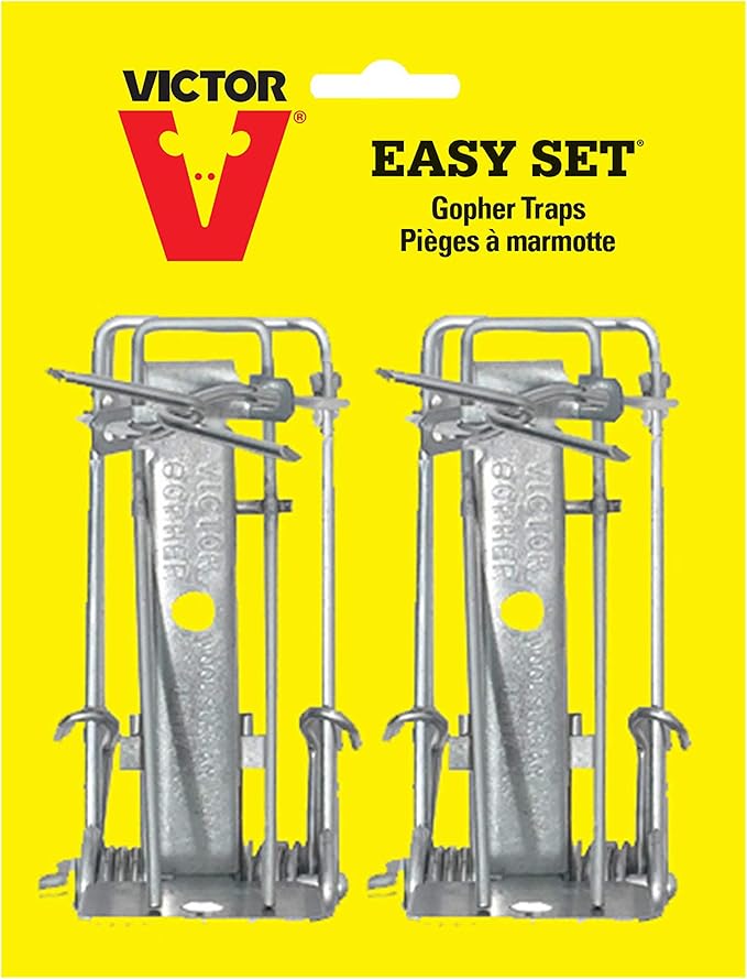 Victor Easy Set Weather-Resistant Outdoor Gopher Trap - 0611 - Versatile Gopher Trap - Kill Gophers in Yard,(Pack of 24)