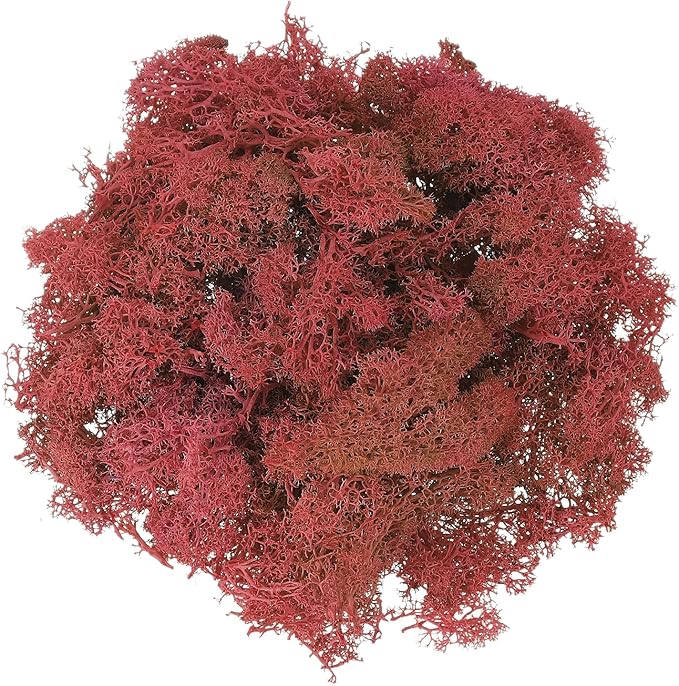 uxcell Preserved Reindeer Moss, 7oz Fake Moss for Crafts Artificial Dried Moss for Decoration Terrariums Potted Plants, Dark Red