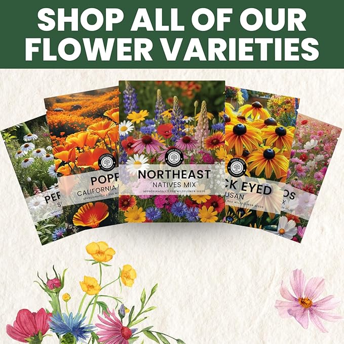 Northeast Natives Mix – 67,000 Seeds for Planting – 2026 Season – 4 Ounce Pouch