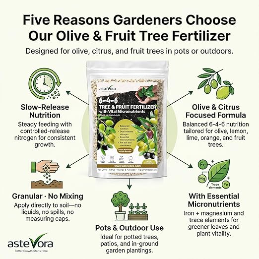 Olive Tree Fertilizer – Fruit Tree Fertilizer for Olive Tree, Citrus, Lemon, Lime, Fig, Avocado, Mango, Apple & Pomegranate – for Potted & Outdoor Trees (1/2 Quart - 1 lbs.)
