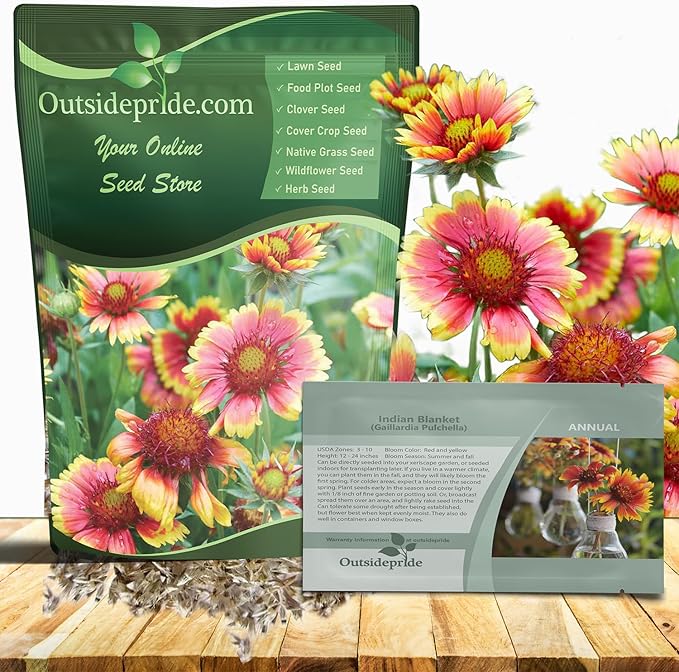 Outsidepride Gaillardia Pulchella Red Indian Blanket Seeds for Planting - 5000 Pcs Annual Flower Seeds, Heat & Drought Tolerant for Xeriscaping, Borders, & Small Garden Spaces