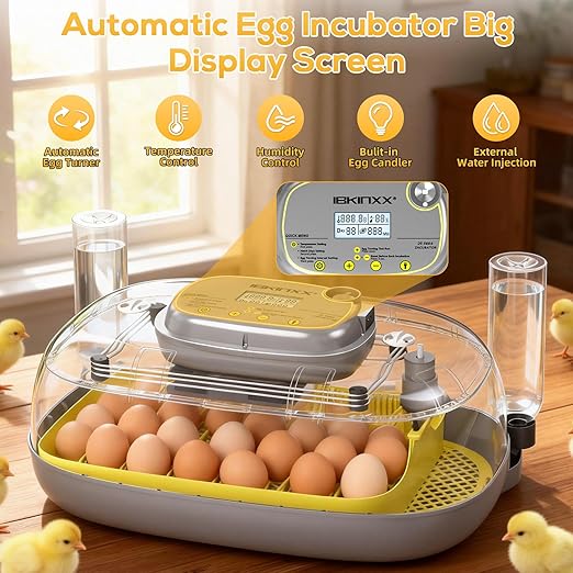 IBKINXX Incubator for Hatching Eggs-24 Egg Capacity, Automatic Egg Turner, Temperature & Humidity Control, 360° Viewing for Chicken, Duck and Quail Eggs