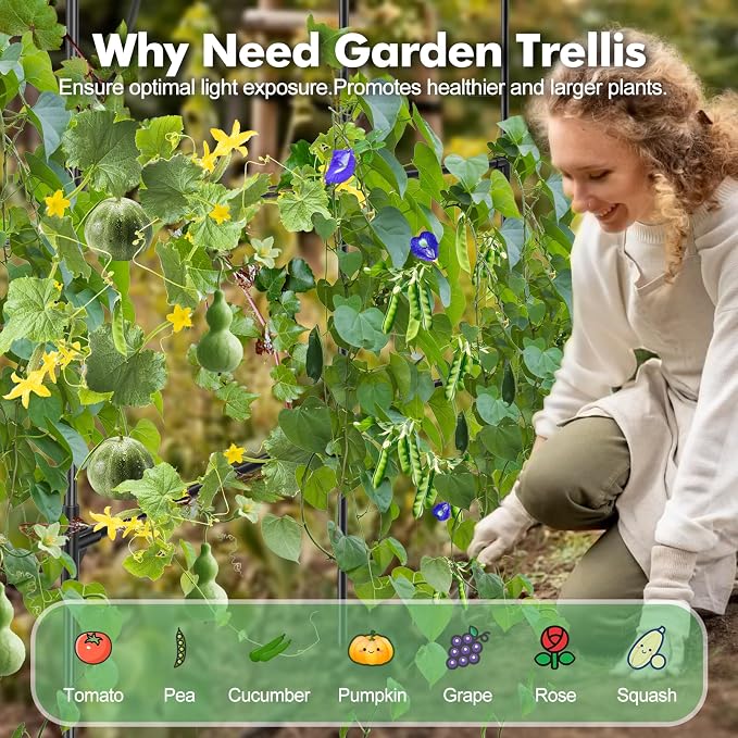 GOJAWAY 5.4L x 5W x 7H FT Metal Garden Trellis, Garden Arch Trellis for Climbing Plants, Outdoor Plant Support Frame for Garden Yard Patio