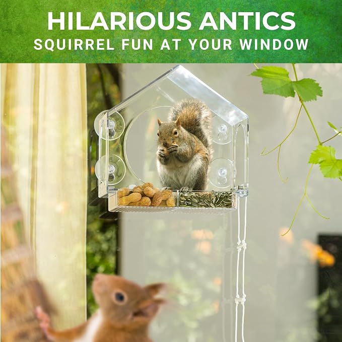 Window Squirrel Feeder - Funny Chipmunk Feeder - Easy to Install, No Assembly Needed - Includes Evergrip 4X Suction Cups - Squirrel Feeders for Outside - Squirrel House