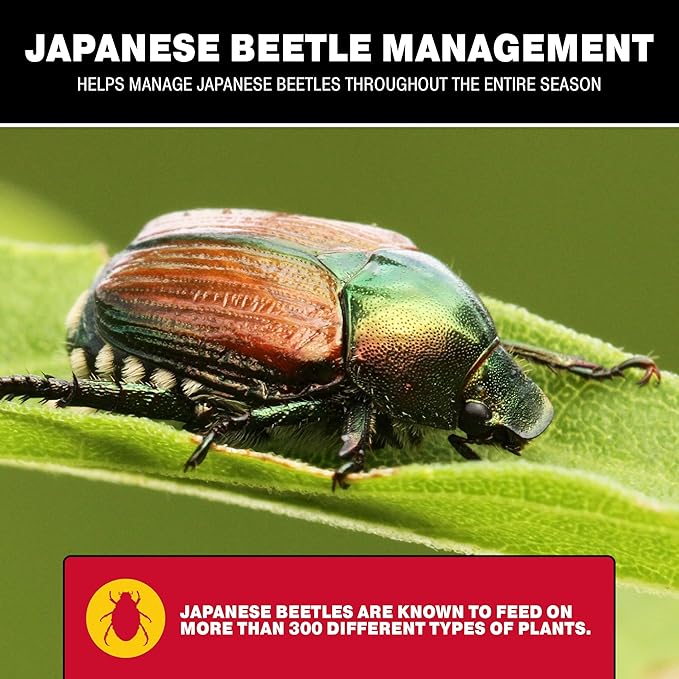 Catchmaster Japanese Beetle Traps Outdoor 3PK, Flying Insect Trap Bag with Lid & Dual Pheromone Food Lure, Hanging Bug Catcher Pest Control for Backyard & Garden, Plants, Trees, Vegetables & Flowers