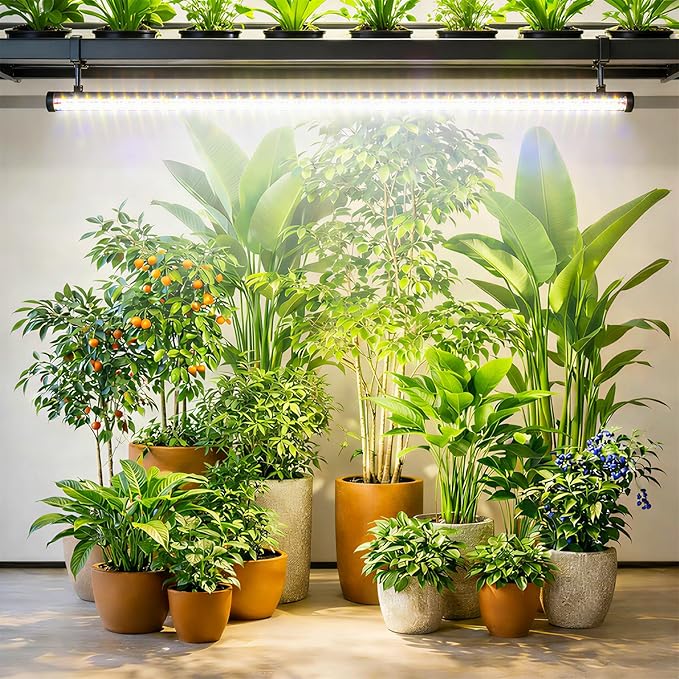 Plant Grow Lights Indoor – 64.5'' Tall Full Spectrum Plant Growing Lamps with 660nm, 3000K & 6000K LEDs, 36W Grow Lights for Indoor Plants with Dual Auto Timer (4H/8H/12H) & Remote Control