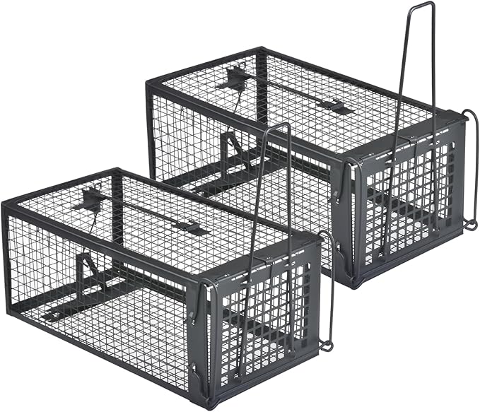 Gingbau 2-Pack Chipmunk Rat Traps Humane Live Mouse Trap Cages