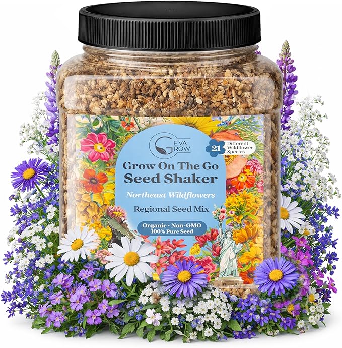 Regional Wildflower - Northeast USA Wildflowers - 100% Pure Seed - Organic, Non-GMO - 21 Wildflower Variety Seeds of Annual & Perennial, 1 LB Tub