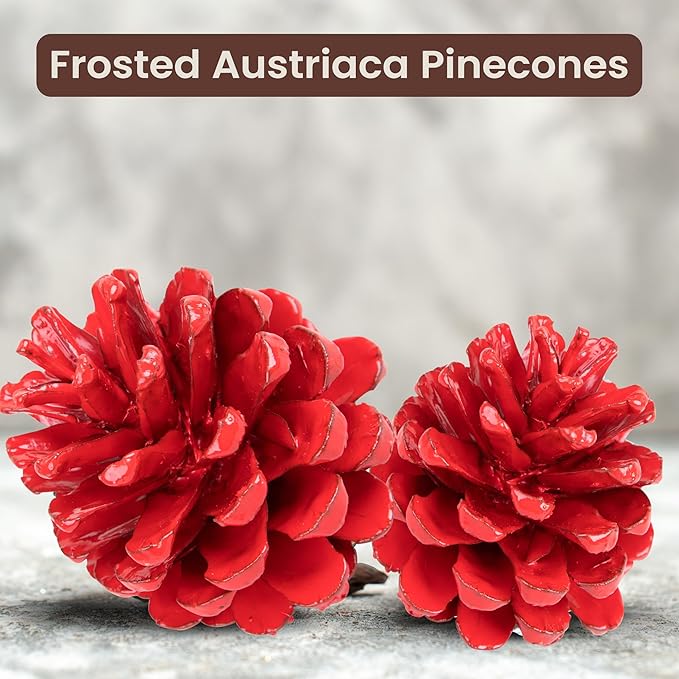 Red Painted Austriaca Pine Cones for Crafts - 2-3 Inch Metallic Pinecones for Christmas Decorating Ornaments Holiday Decor Vase Filler - Rustic Dried Pine Cones - Set of 24 - Red Painted