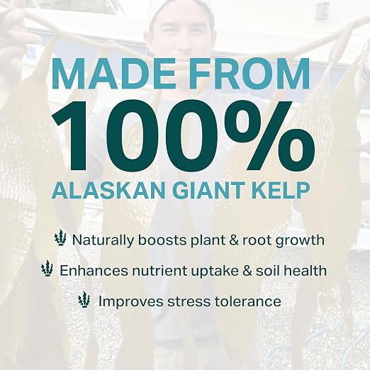 Organic Liquid Kelp Plant Supplement- Seaweed Extract Concentrated Fertilizer Booster, OMRI Listed - Boosts Roots, Growth & Blooms for Gardens, Lawns, Veggies, Hydro & All Plants