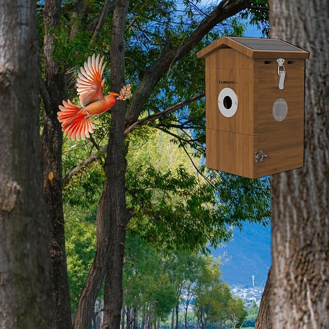 Smart Solar Powered WiFi Camera Birdhouse AI Bird Recognition | App Control Watch Bird Nesting Hatching in Real Time,IP65 Waterproof Teak Birdhouse