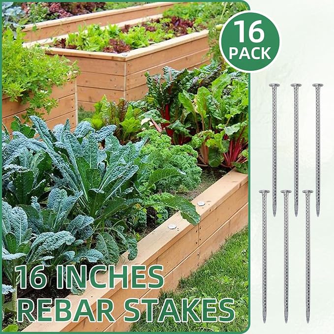 16 Inch Ground Spikes, Rebar Stakes, 1/2 Ground Stake, Galvanized Anchors, Metal Stakes for Ground (16Pcs, Silver)