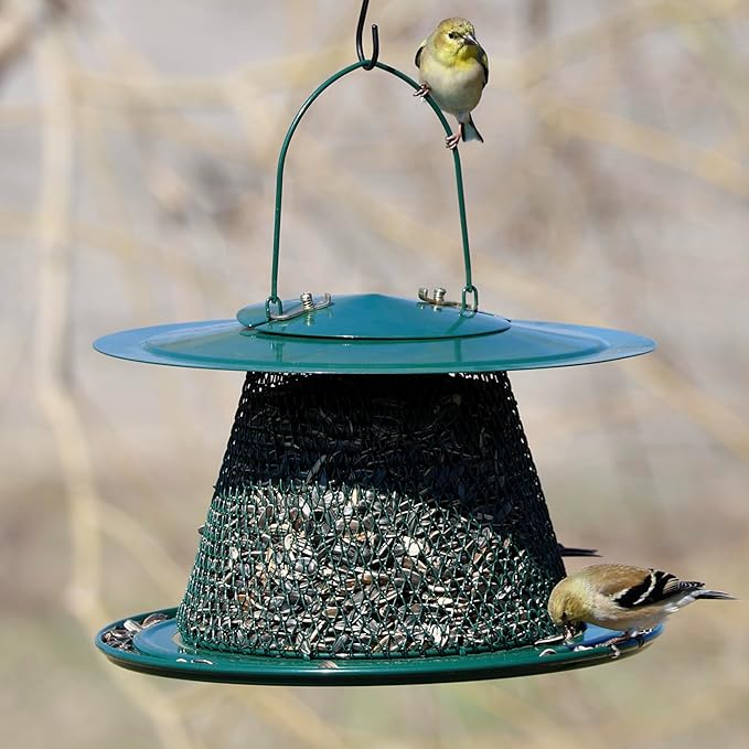 Collapsible Metal Mesh Bird Feeder with Tray - Green Cardinal Feeder - Holds 12 Cups of Sunflower Seeds