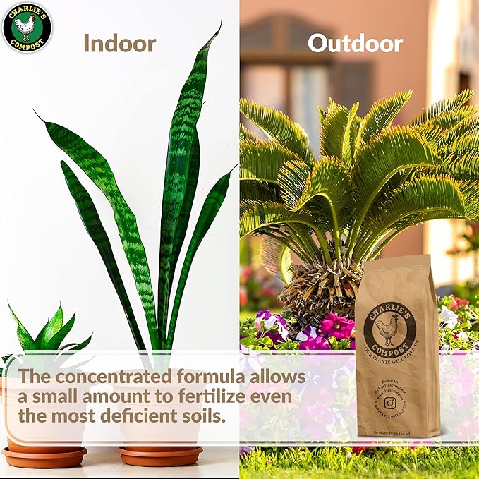 Charlie's Compost - Odor Free Organic Fertilizer for Home Gardens, Raised Beds, Containers, Seed Starting Mix, Natural Soil Amendment with Biochar 10lb