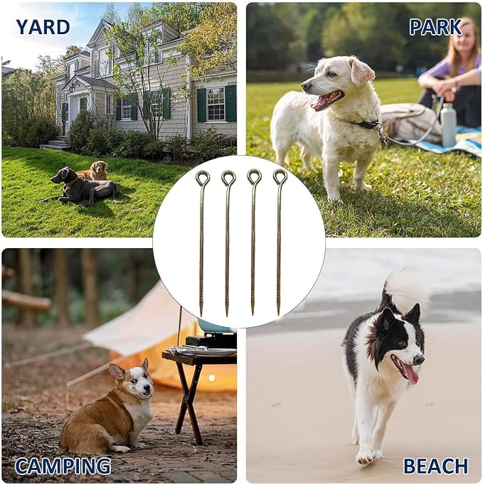 16 Inch Rebar Stakes,Metal Stake Ground,Ground Anchor,Heavy DutyTent Stakes,Baking Paint Metal Stakes,Tent Stakes,Ground Stakes ，0.5 Inch Diamete (6 Pack) ， Outdoor Trave