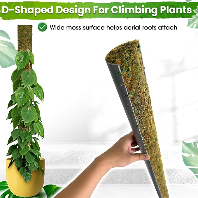 DUSPRO 59’’ D-Shape Moss Pole for Climbing Plants Monstera Moss Plant Pole Handmade Moss Stick for Indoor Plants Grow Upward (59'', 1pc.)