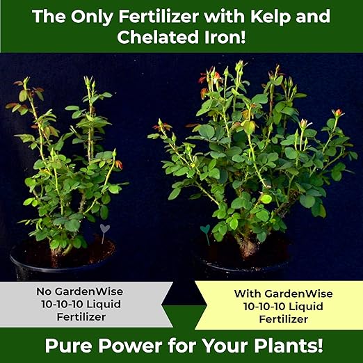 GARDENWISE 10-10-10 All Purpose Plant Food - Liquid Fertilizer with Seaweed Kelp & Iron - Indoor & Outdoor Plant Food, Vegetables, Flowers, Lawn & Garden 1x8oz