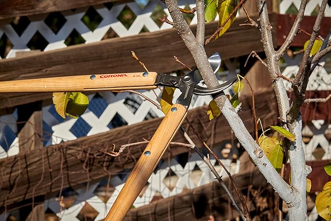 Corona Tools WL 3351 26″ Bypass Loppers – Heavy-Duty Branch Cutter for Trees, Shrubs & Landscaping