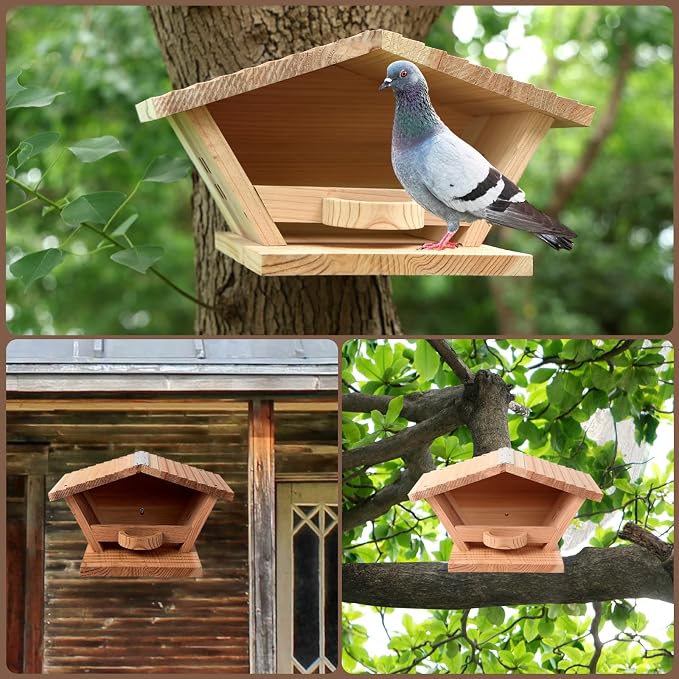 Cedar Wood Mourning Dove Nesting Box – Open Dove House for Outside, Weatherproof, Long-Lasting, Easy to Assemble, Hanging Roosting Platform Birdhouse for Doves, Blackbirds, Robins & Pigeons