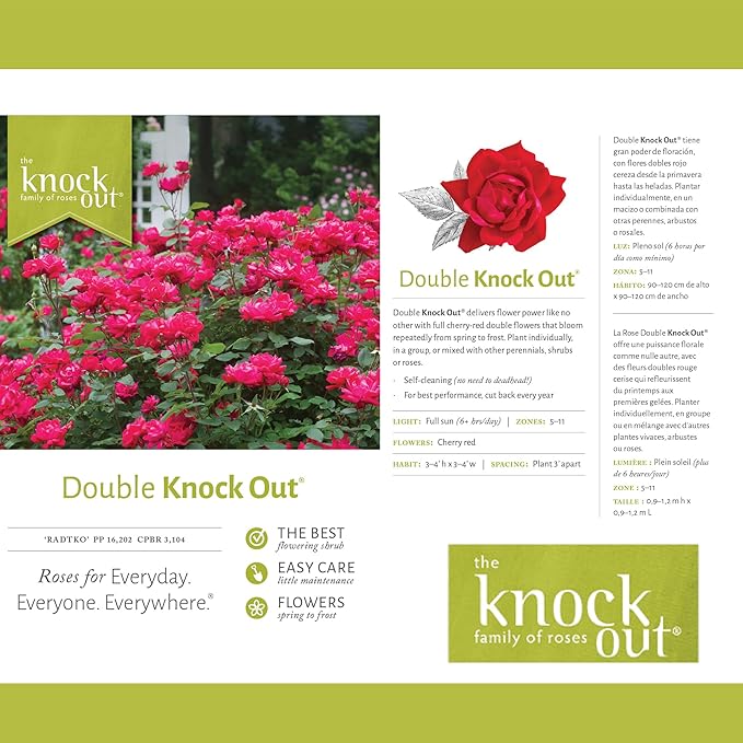 Root 98 Warehouse Knockout Double Red Rose, 1g