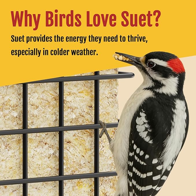 Birdream Double Suet Bird Feeders for Outdoors, All Metal Bird Suet Cakes Cage Holder with Weatherproof Roof, Easy to Refill & Clean, Attract Woodpeckers, Chickadees, Nuthatches, Black