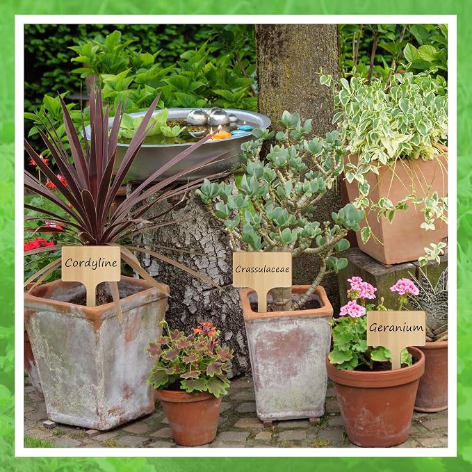 Hicarer 30 Pcs 9.4" x 5" Extra Large Bamboo Garden Markers, Natural Wood T-Type Large Plant Labels for Herbs, Flowers & Vegetables – Easy to Read Full-Size Tags for Garden Outdoor
