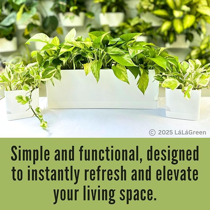 LaLaGreen Bundle- 2 Pack, 12 Inch White Geometric Self Watering Pot + 7 Pack, Small Medium Large Planter Rectangular Window Plastic Boxes Plant Herb Flower Holder Modern Stylish Hanging Indoor Decor