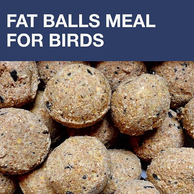 SWISSINNO Bird Feeders - No Mess Fat Ball/Suet Feeder for Outdoors Hanging - Smart Birds Lucerne Spill Proof Wild Cardinal Bird Feeder with Integrated Seed Catcher Tray - Indigo